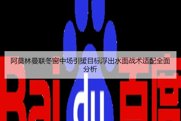 阿莫林曼联冬窗中场引援目标浮出水面战术适配全面分析