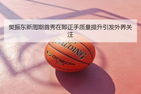 樊振东新周期首秀在即正手质量提升引发外界关注